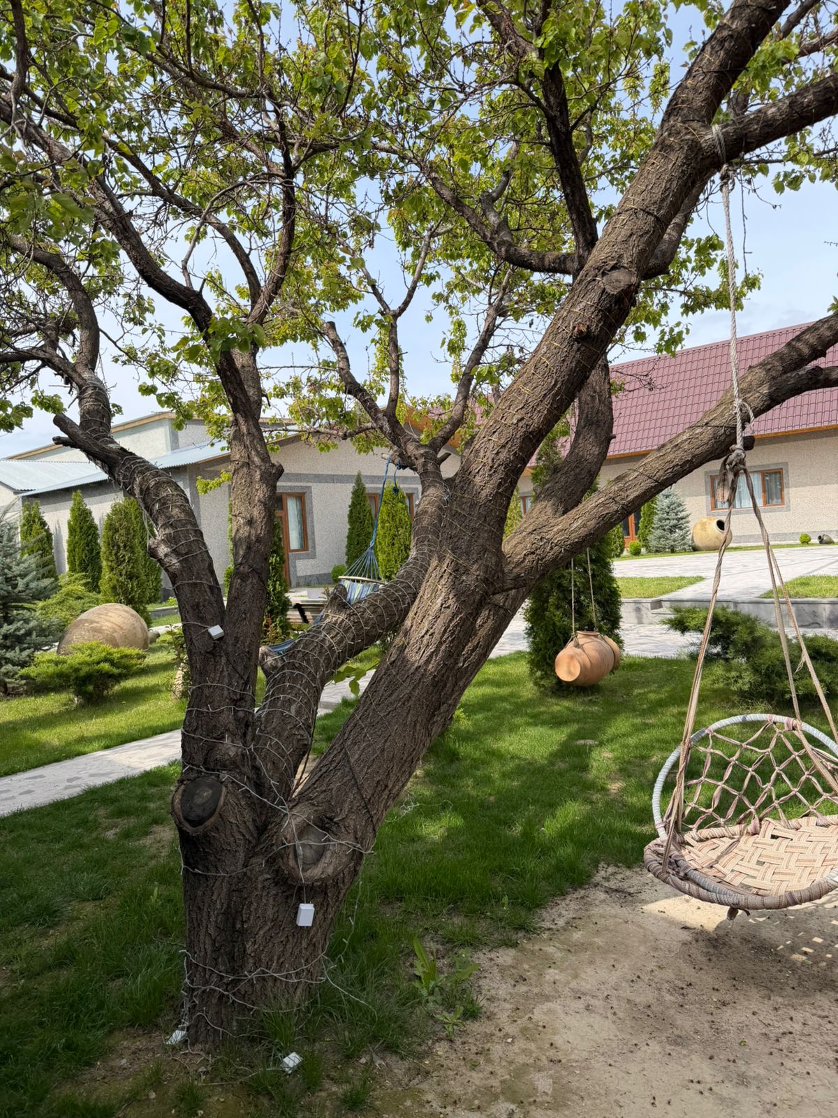 Garden and House